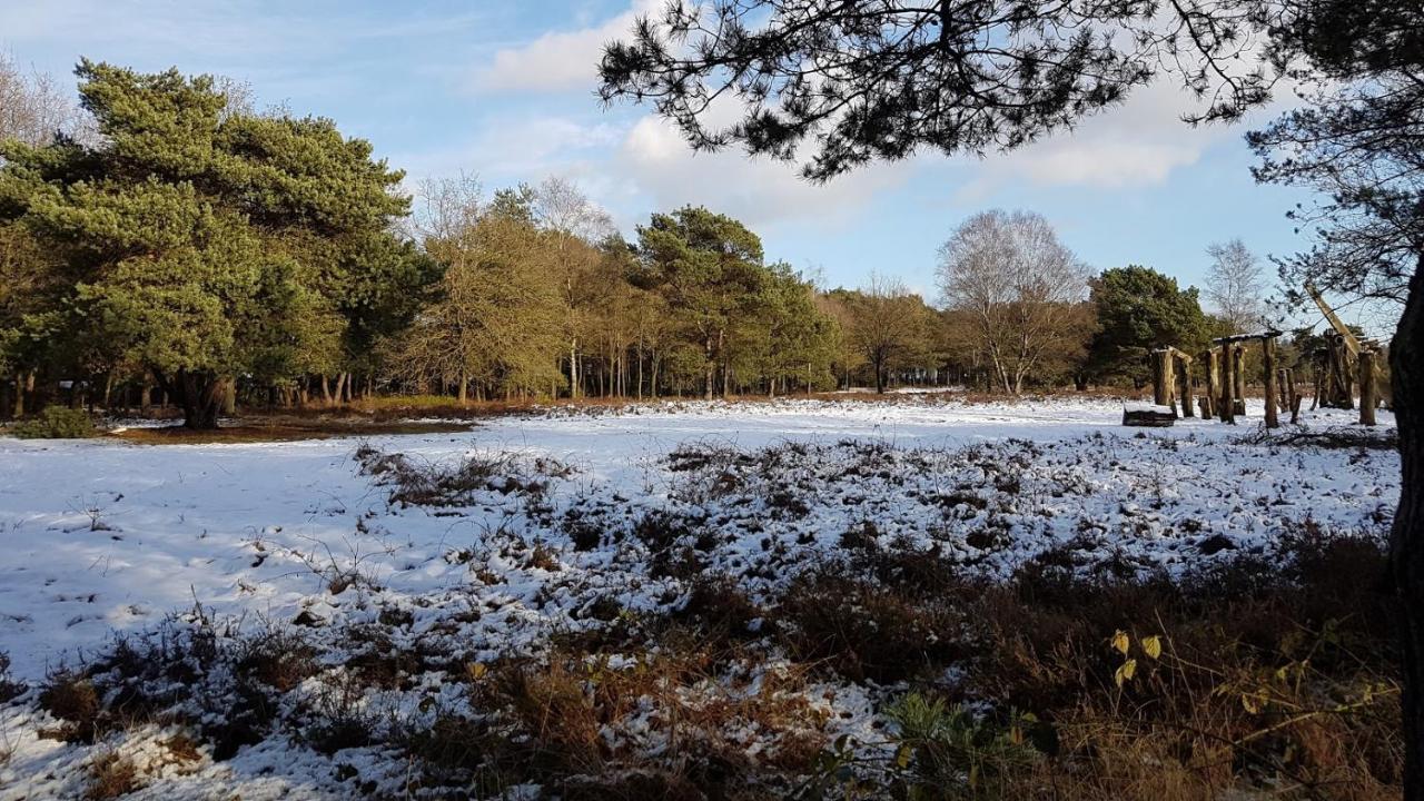 Chalet Op De Veluwe # Berk Putten Exterior foto